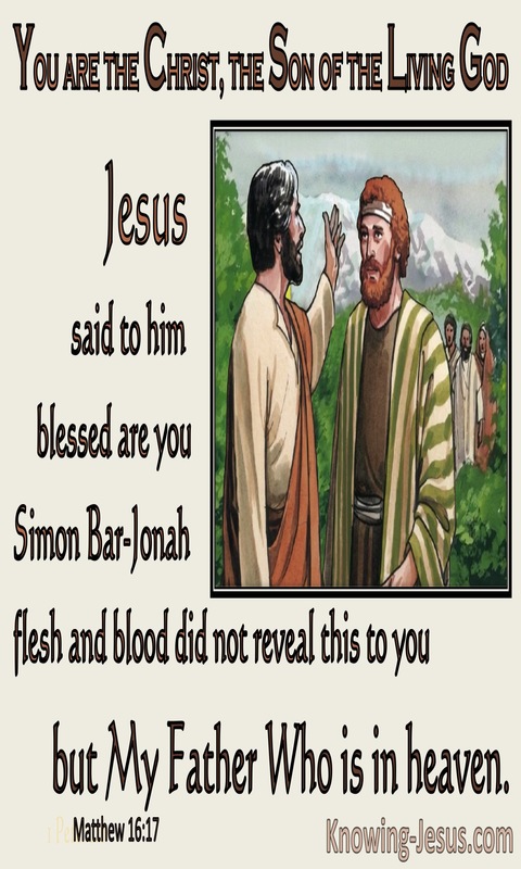 Matthew 16:17 Blessed : Flesh and Blood Did Not Reveal This (brown)